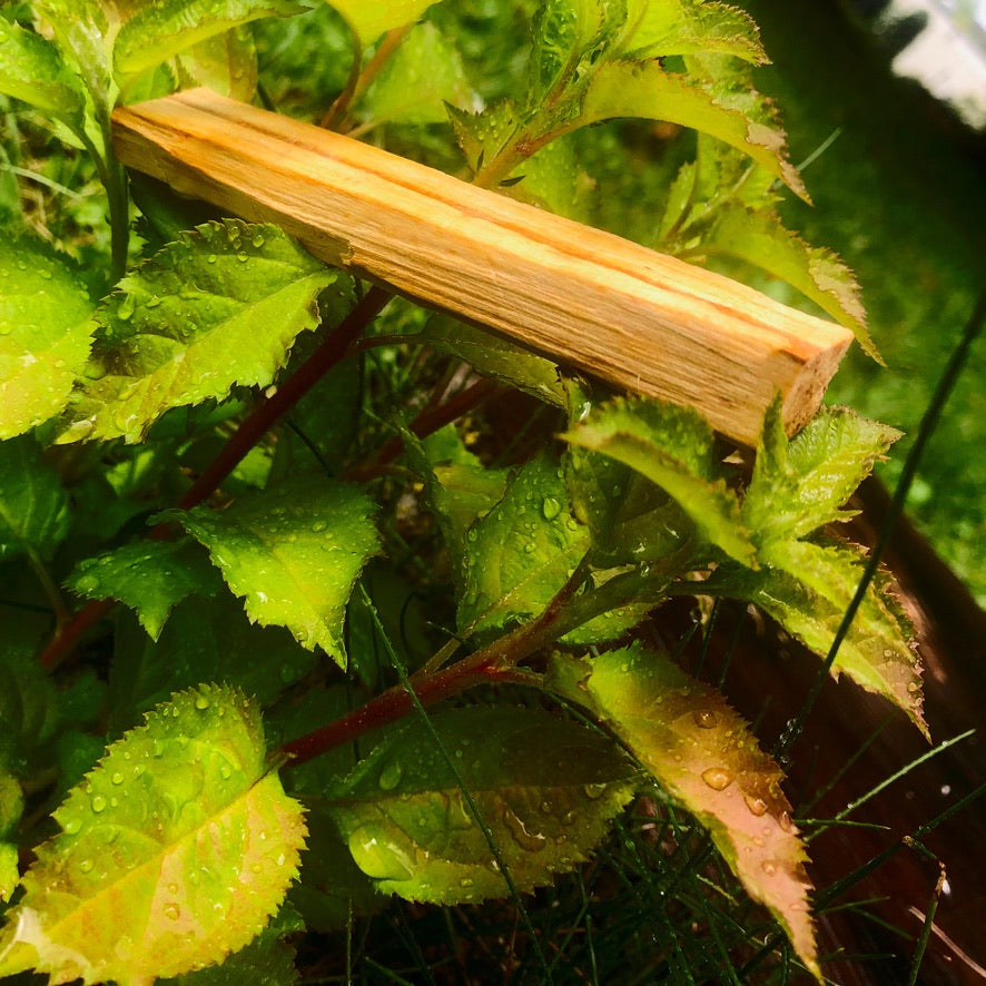 Palo Santo Rod
