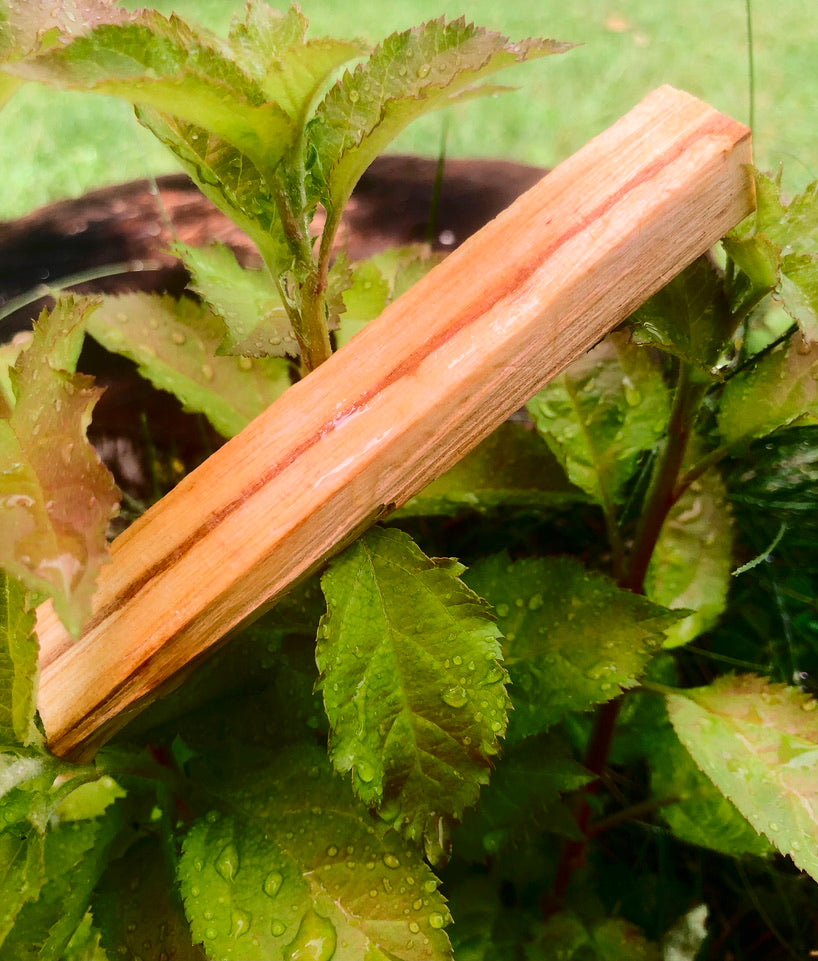 Palo Santo Rod
