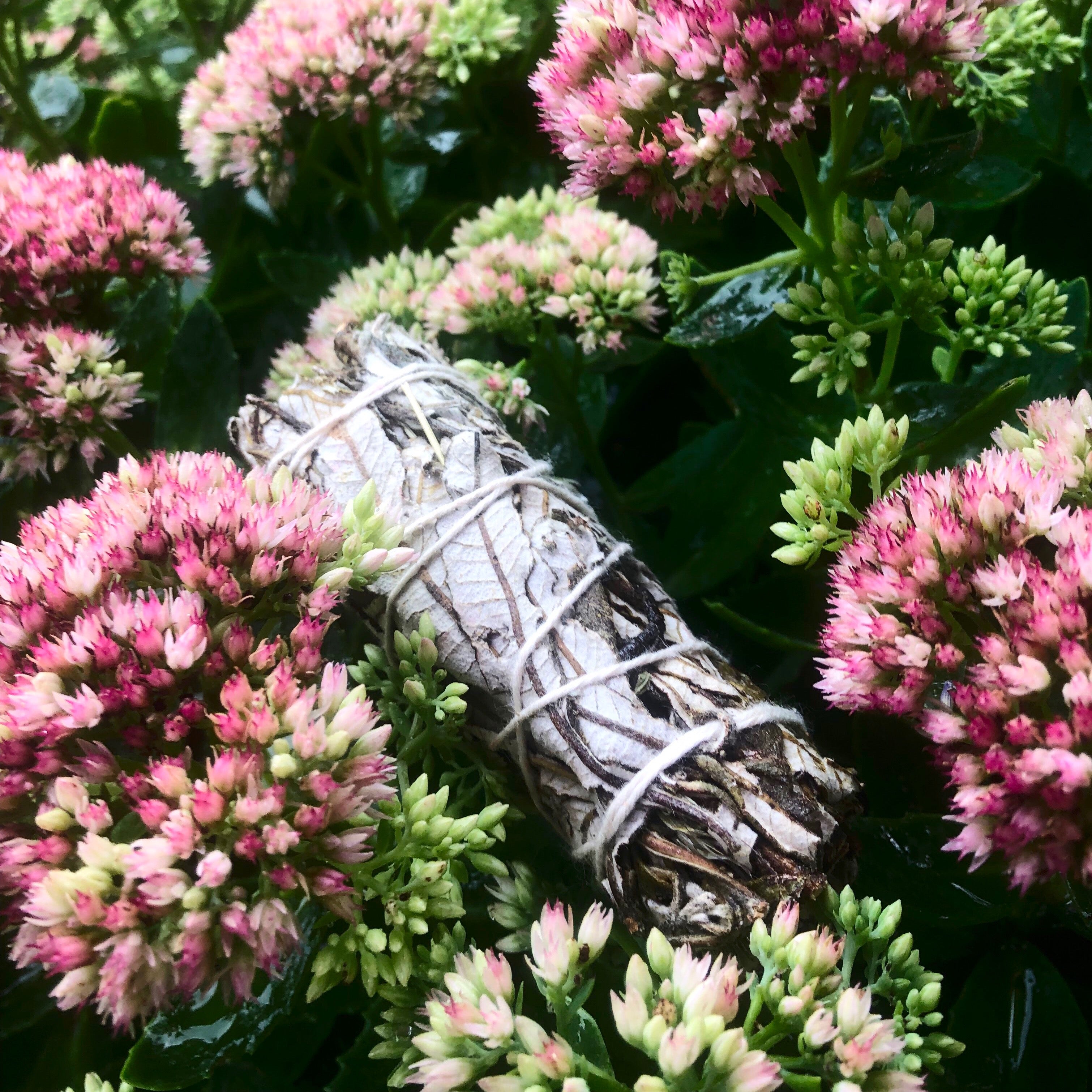 Yerba Santa Smudge Wand