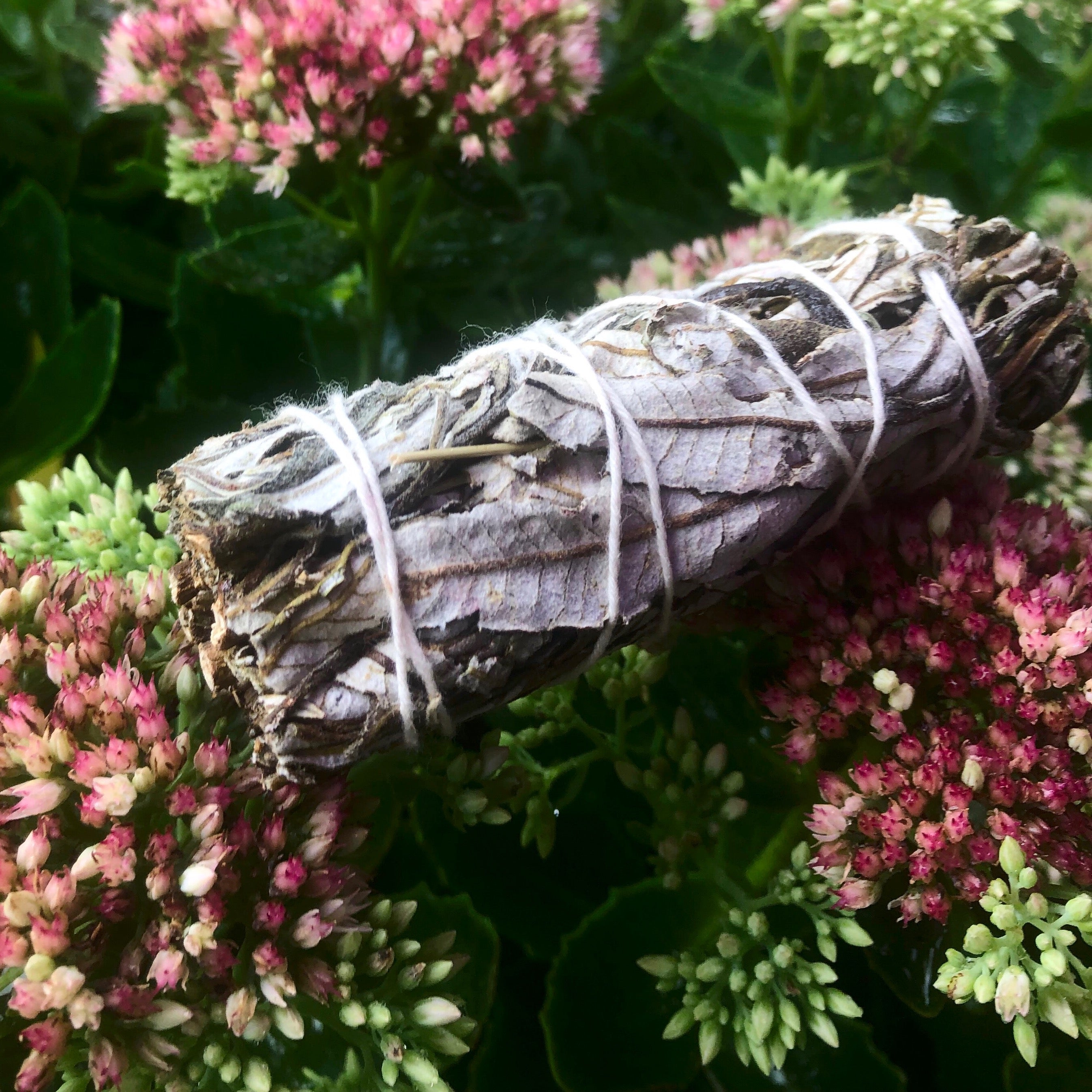 Yerba Santa Smudge Wand